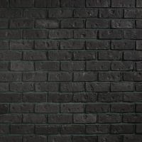 Provia Midnight Thin Brick Flats